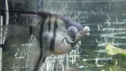 20131105_185333.jpg