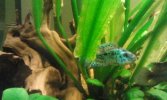 2012-05-05 13.49.21.jpg