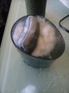 CAM00507.jpg