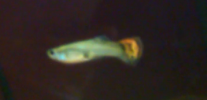 Screenshot_2014-02-23-13-46-51-1.png