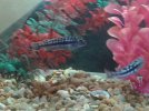 20140330_163725.jpg