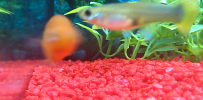 Screenshot_2014-07-08-21-04-10-1.png