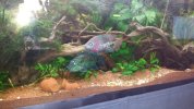 IMG-20140824-WA0003.jpg