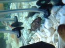 IMG_1573.JPG