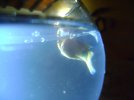DSC00089.jpg