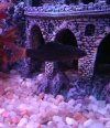 IMG_20150122_202700.JPG