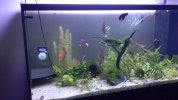 IMG-20141227-WA0006.jpeg