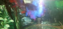 2015-01-27_14-15-48_926.jpg