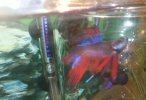 2015-01-27_14-16-12_79.jpg