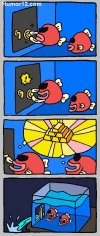 ladron.jpg