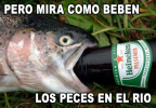 tumblr_lw1tn1bOiR1qcxcruo1_500.png