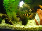 DSCN7309.JPG