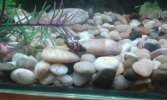 20150227_122448.jpg