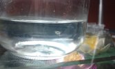 20150228_135153.jpg