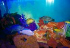 IMG-20150406-WA0001.jpg