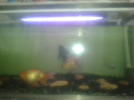 20150824_105855.png