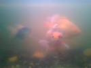 20150918_223816.png