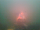 20150918_223836.png
