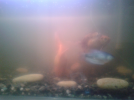 20150918_225250.png
