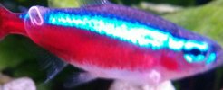 IMG_20151023_005500.jpg