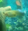 IMG_201512350_095704.jpg