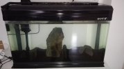 IMG_20160111_163107.jpg