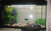 IMG-20160112-WA0034.jpeg