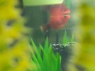 IMG-20160113-WA0022.jpg