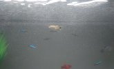 IMG-20160112-WA0026.jpeg