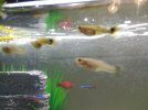 IMG-20160114-WA0017.jpg