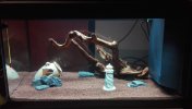 IMG_20160116_020350(2).jpg