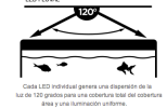luz6.png