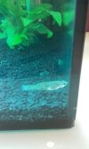 20160201_223720.jpg