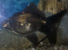 WP_20160204_15_55_26_Pro.jpg