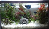 20160205_104748.jpg