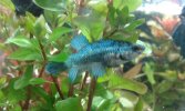 20160203_102420.jpg
