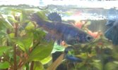 20160203_102931.jpg