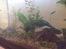 IMG_0035.JPG