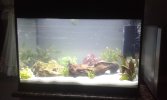 20160212_231322.jpg