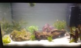 20160212_231216.jpg