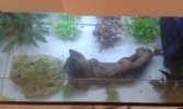 20160212_230353.jpg