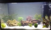 20160213_174535.jpg