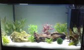 20160215_102950.jpg