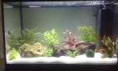 20160224_112946.jpg