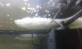 20160224_104341.jpg