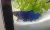 20160224_110054.jpg