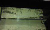 20160225_083814.jpg