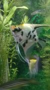 WP_20160221_11_12_44_Pro.jpg