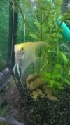WP_20160221_11_46_43_Pro.jpg
