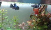 20160225_225152.jpg